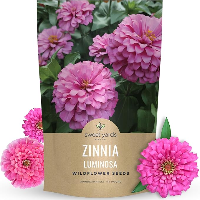 Zinnia Luminosa - Bulk 1/4 Pound Pouch - 15,000 Flower Seeds for Planting - Zinnia elegans