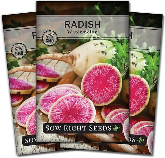 Sow Right Seeds - Watermelon Radish Seed for Planting - Non-GMO Heirloom Packet with Instructions to Plant a Home Vegetable Garden - Unique & Rare Veggie, Watermelon-Like Coloring When Cut (3)