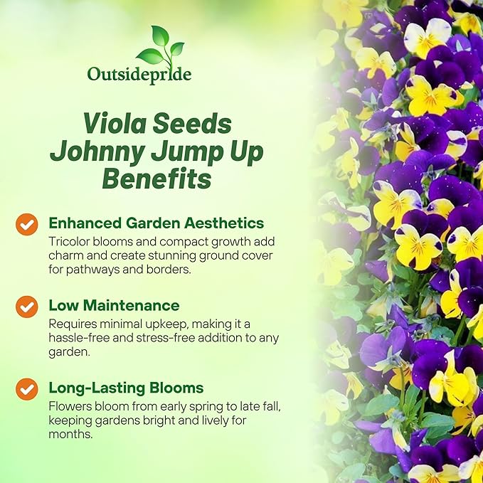 Outsidepride 1/8 lb. Perennial Viola Johnny Jump Up Flower Seeds for Planting