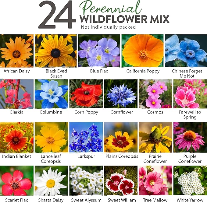 HOME GROWN 90,000+ Wildflower Seeds - Bulk Perennial Wild Flower Seeds Mix - 3oz Flower Garden Seeds for Attracting Bees, Birds & Butterflies - 24 Variety Plant Seeds for Outdoor Garden