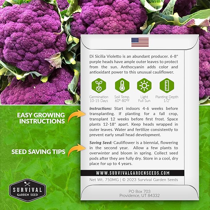 Di Sicilia Violetto Purple Cauliflower Seed for Planting - 3 Packets with Instructions to Plant & Grow Unique Cauliflower Plants in Your Home Garden - Non-GMO Heirloom Variety - Survival Garden Seeds