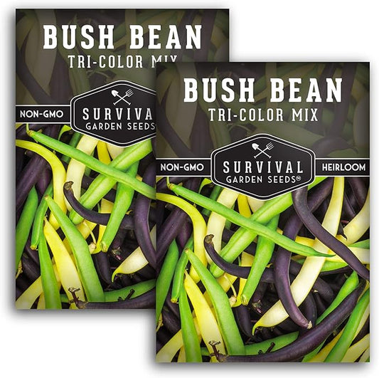 Survival Garden Seeds - Tri-Color Bean Seed for Planting - 2 Packs with Instructions to Plant and Grow Yellow, Purple, and Green Bush Beans in Your Home Vegetable Garden - Non-GMO Heirloom Variety