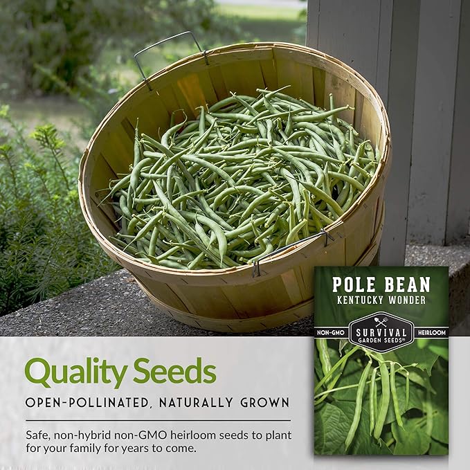 Survival Garden Seeds - Kentucky Wonder Pole Bean Seed for Planting - 5 Packs with Instructions to Plant and Grow Green Snap Beans in Your Home Vegetable Garden - Non-GMO Heirloom Variety