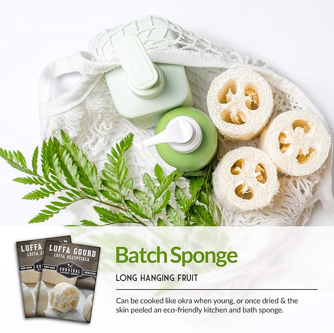 Survival Garden Seeds - Luffa or Loofah Seed for Planting - 1 Packet with Instructions to Plant and Grow Ornamental Gourds in Your Home Vegetable Garden - Non-GMO Heirloom Variety