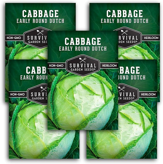 Survival Garden Seeds - Early Round Dutch Cabbage Seed for Planting - 5 Packs with Instructions to Plant and Grow Green Cabbages in Your Home Vegetable Garden - Non-GMO Heirloom Variety - Plant Seed