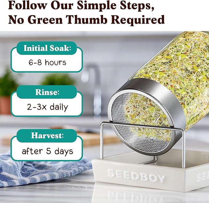 Organic Sprouting Seeds - Superfood Blend - Non-GMO, USA Grown Microgreens Mix - Broccoli, Radish, Pak Choi, Clover, Red Kale - Makes 8 Quarts of Sprouts, 24 Servings (8 oz) (Superfood Blend)