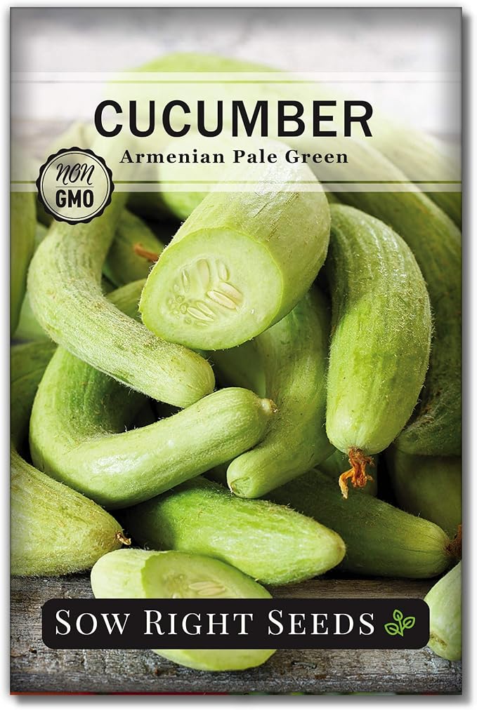 Sow Right Seeds - Armenian Pale Green Cucumber Seeds for Planting - Non-GMO Heirloom Packet with Instructions to Plant and Grow a Home Vegetable Garden - Yard Long Variety for Outdoors (1)