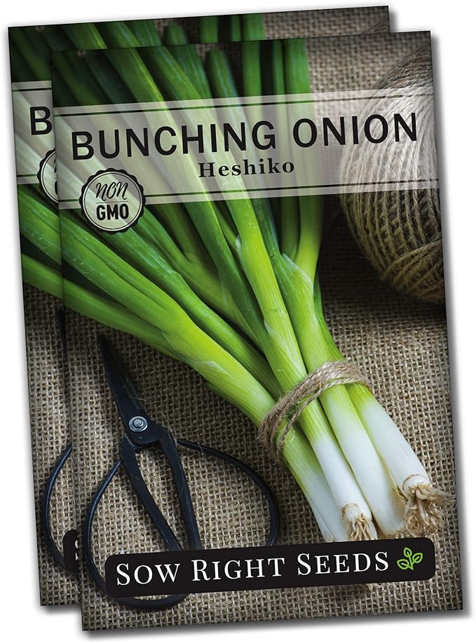 Sow Right Seeds - Heshiko Japanese Bunching Green Onion Seeds for Planting - Non-GMO Heirloom - Instructions to Plant and Grow a Kitchen Garden Indoors or Outdoors - Mild Onion Flavor for Cooking (2)