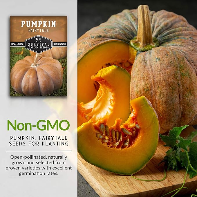 Survival Garden Seeds Fairy Tale Pumpkin Seeds for Planting – Packet with Instructions to Plant & Grow Pumpkins in Your Home Vegetable Garden - Non-GMO Heirloom Seeds