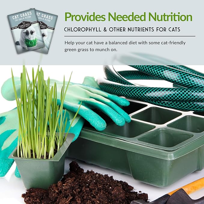 Cat Grass Seed for Planting - 2 Packets with Instructions to Plant & Grow Greens for Your Pet Indoors or Outdoors in a Container or Garden - Non-GMO Heirloom Variety - Survival Garden Seeds