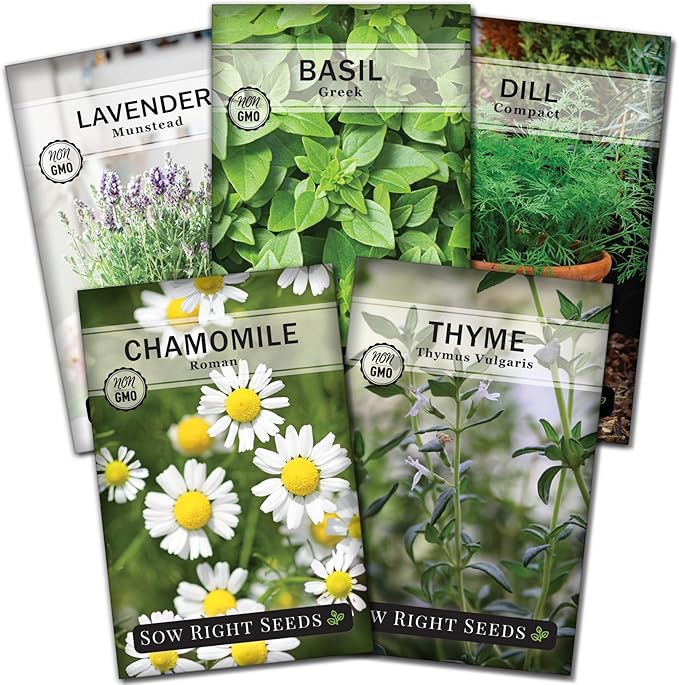 Sow Right Seeds - Dwarf Herb Seed Collection for Planting - Munstead Lavender, Greek Basil, Compact Dill, Roman Chamomile & Thyme to Grow a Home Garden - Compact Varieties - Grow Your Own Fresh Herbs