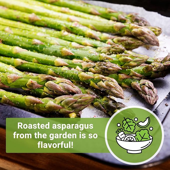 Sow Right Seeds - Mary Washington Asparagus Seed for Planting - Non-GMO Heirloom Packet with Instructions to Plant an Outdoor Home Vegetable Garden - Classic Perennial Stalks with Hearty Flavor (4)