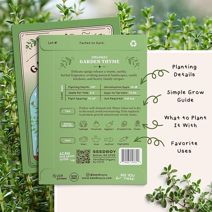 Organic Thyme Herb Seeds for Indoor Gardening or Planting Outdoors, Non-GMO and USDA Certified Herb Seed Packets, 250 Seeds/500 mg (Thyme)