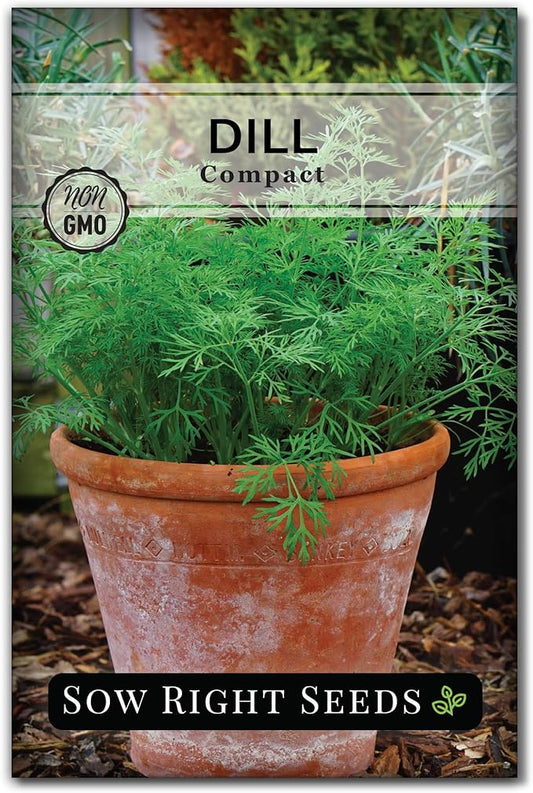 Sow Right Seeds - Compact Dill Seeds for Planting - Non-GMO Heirloom Packet with Instructions to Grow an Outdoor or Indoor Herb Garden - Great for Pickling - The Perfect Patio & Container Size (1)