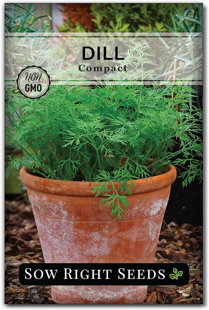 Sow Right Seeds - Dwarf Herb Seed Collection for Planting - Munstead Lavender, Greek Basil, Compact Dill, Roman Chamomile & Thyme to Grow a Home Garden - Compact Varieties - Grow Your Own Fresh Herbs