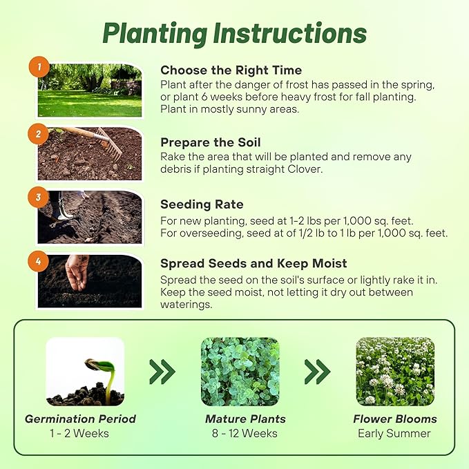 Outsidepride Perennial White Dutch Clover Seed - 10 lbs. Nitrocoated, Inoculated Clover Seeds for Lawn Alternative, Erosion Control, Food Plots, Ground Cover, & Pasture Mixtures in USDA Zones 3-10