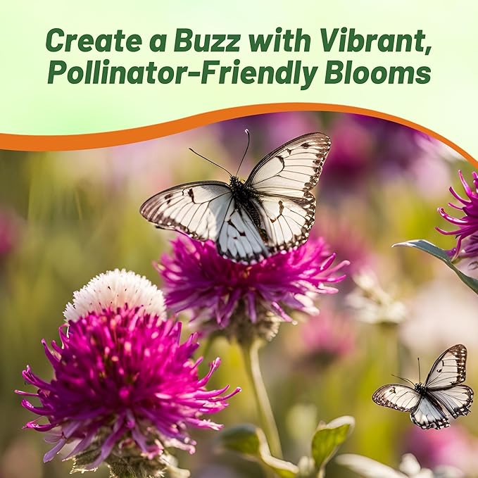 Outsidepride 1000 Seeds Annual Gomphrena Globosa Flower Seed Mix for Planting