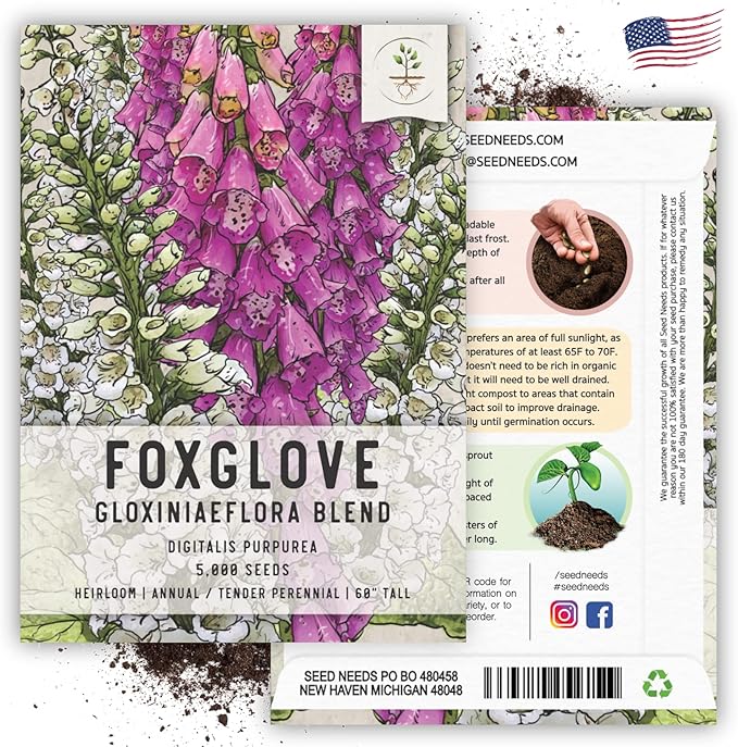 Seed Needs, Mixed Gloxiniaeflora Foxglove Seeds for Planting - Heirloom & Open Pollinated Biennial Flowers - Perfect for Butterfly Gardens & Insectaries (1 Pack)