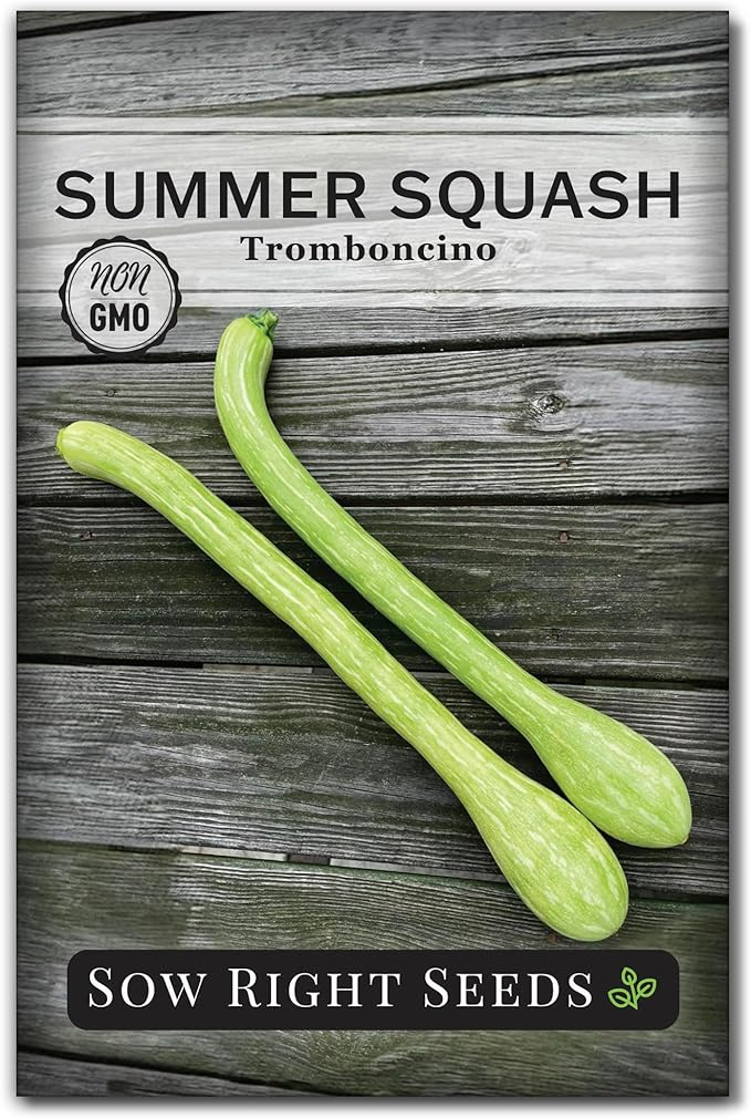 Sow Right Seeds - Tromboncino Rampicante Squash Seeds for Planting - Non-GMO Heirloom Packet with Instructions to Plant a Home Vegetable Garden - Grow Tasty Squash at Home, Great for Cooking