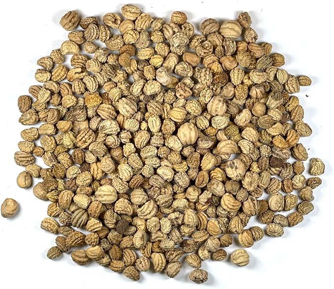 Seed Needs, 1.5 Ounce 350+ Nasturtium Seeds “Jewel Mixture (Tropaeolum nanum) Edible Blooms, Non-GMO, Easy to Grow, Mixed Colors Flower Seeds Mix, Attracts Pollinators - Bulk