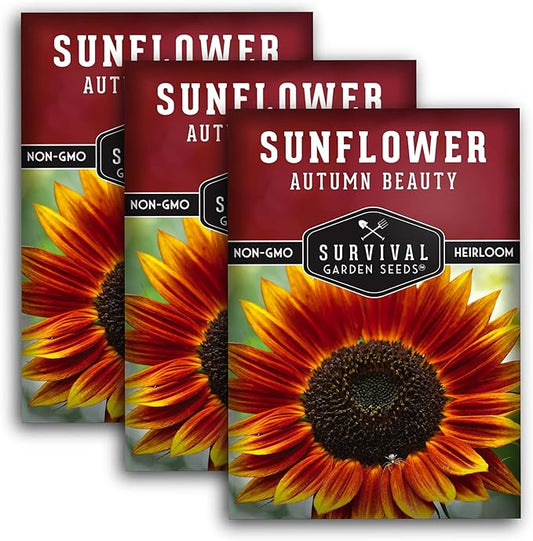 Survival Garden Seeds - Autumn Beauty Sunflower Seed for Planting - 3 Packs with Instructions to Plant and Grow Beautiful and Colorful Flowers in Your Home Vegetable Garden - Non-GMO Heirloom Variety