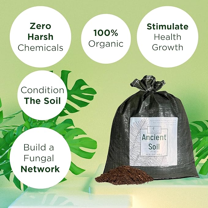 Elm Dirt Premium Ancient Soil for All Plants - Organic Plant Soil for Outdoor Plants & Indoor Plant Soil | Garden Soil for Plant Nutrients Growth & Protect your Plants Bugs - Roots Organic Soil, 25lbs