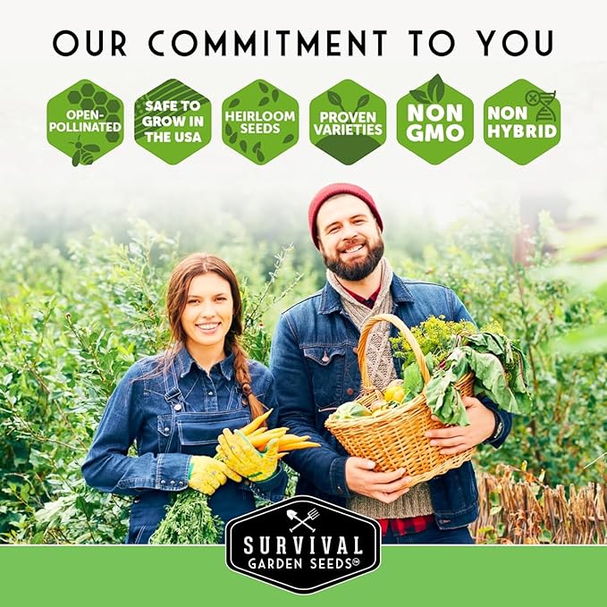 Survival Garden Seeds - Toma Verde Tomatillo Seed for Planting - 2 Packs with Instructions to Plant & Grow Green Salsa Vegetables in Your Home Vegetable Garden - Non-GMO Heirloom Variety Salsa Seeds