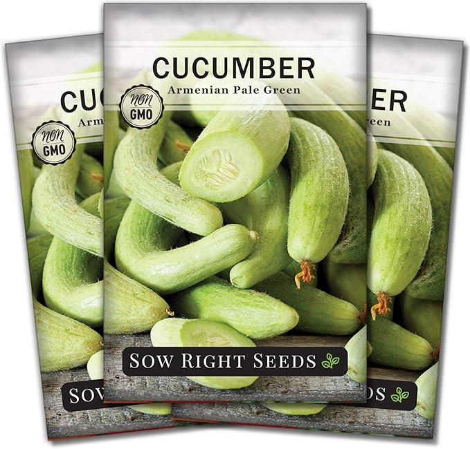 Sow Right Seeds - Armenian Pale Green Cucumber Seeds for Planting - Non-GMO Heirloom Packet with Instructions to Plant and Grow a Home Vegetable Garden - Yard Long Variety for Outdoors (3)