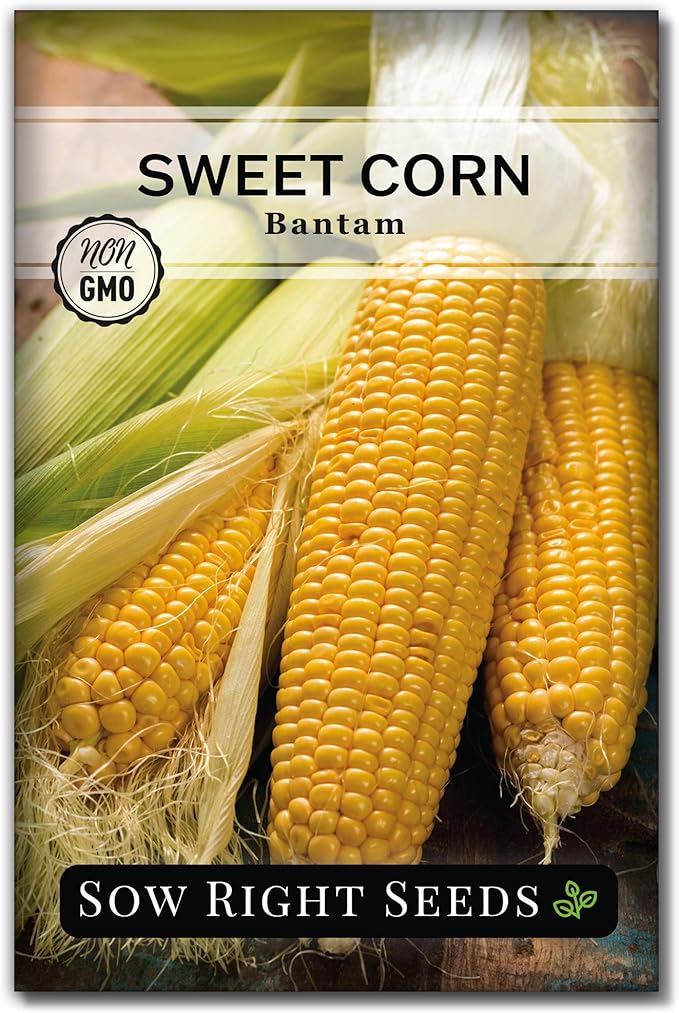 Sow Right Seeds - 3 Sisters Seed Collection for Planting - Packets of Bantam Sweet Corn, Kentucky Wonder Pole Bean, and Waltham Butternut Squash - Non-GMO Heirloom Seeds to Plant Home Vegetable Garden