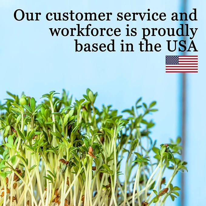 Slow Bolt Cilantro Herb Garden Seeds - 1 Oz ~2,500 seeds - Non-GMO Heirloom Slow Bolt Cilantro Herb Seeds (Coriander) - Outdoor Garden, Indoor Gardens, Countertop Microgreens, Organic Micro Greens Kit