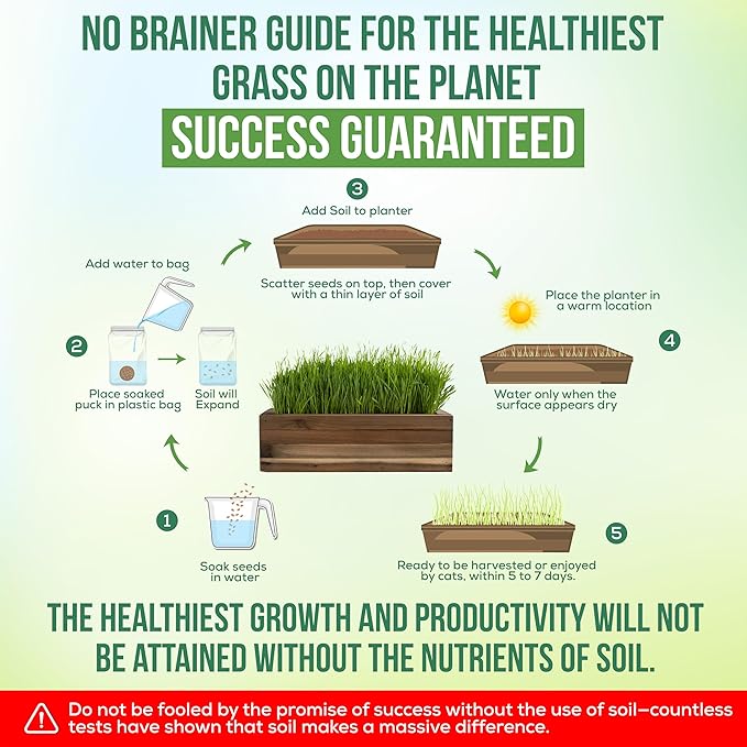 Ornamental Indoor Planter with Pet/Cat Grass Growing kit, Handcrafted in The USA from Red Cedar (Whitewash)