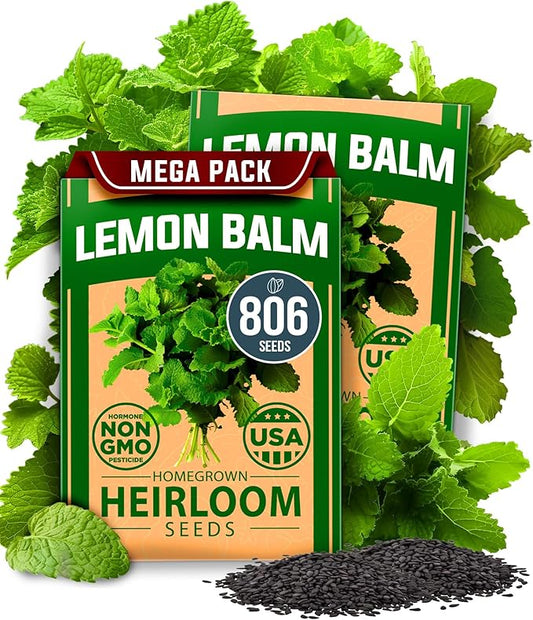 HOME GROWN Lemon Balm Seeds– 806 𝗡𝗢𝗡-𝗚𝗠𝗢 Heirloom Seeds for Planting – Melissa officinalis Herb for Tea, Garden, Indoor or Outdoor Growing–Plant for Pots, Beds & Hydroponics(Melissa officinalis)