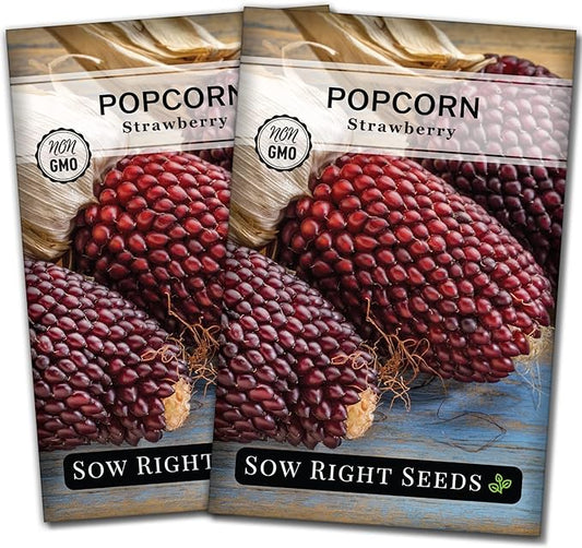Sow Right Seeds - Strawberry Pop Corn Seed for Planting - Non-GMO Heirloom Packet with Instructions to Plant a Home Vegetable Garden - Grow Your Own Popping Kernels - Short Red Variety (2)