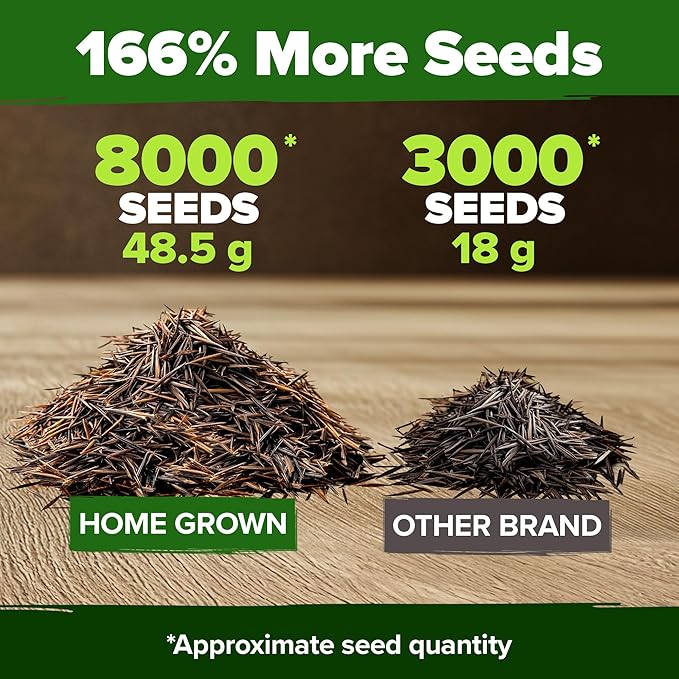 HOME GROWN Cosmos Seeds Bulk Pack (1.8 oz) Annual Flower Seeds for Planting - Heirloom Pollinator Friendly Wildflower Seeds - Grow Cosmo Plant Garden