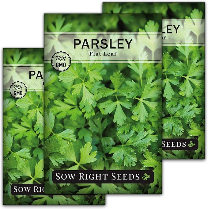 Sow Right Seeds - Flat Leaf Parsley Seed for Planting - Non-GMO Heirloom Packet with Instructions to Plant and Grow a Kitchen Herb Garden - Indoor or Outdoor - Great for Hydroponics Growing (3)