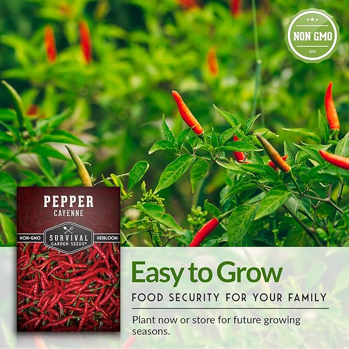 Survival Garden Seeds - Red Cayenne Pepper Seed for Planting - 5 Packets with Instructions to Plant and Grow Hot Chili Peppers in Your Home Vegetable Garden - Non-GMO Heirloom Variety