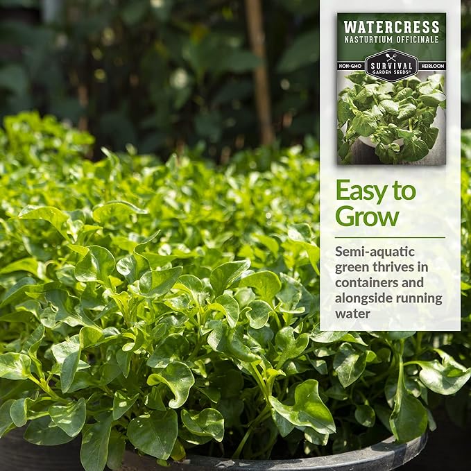 3 Packs Watercress Seed for Planting - Packet with Instructions to Grow Nasturtium officinale in Your Home Vegetable Garden - Non-GMO Heirloom Variety - Survival Garden Seeds