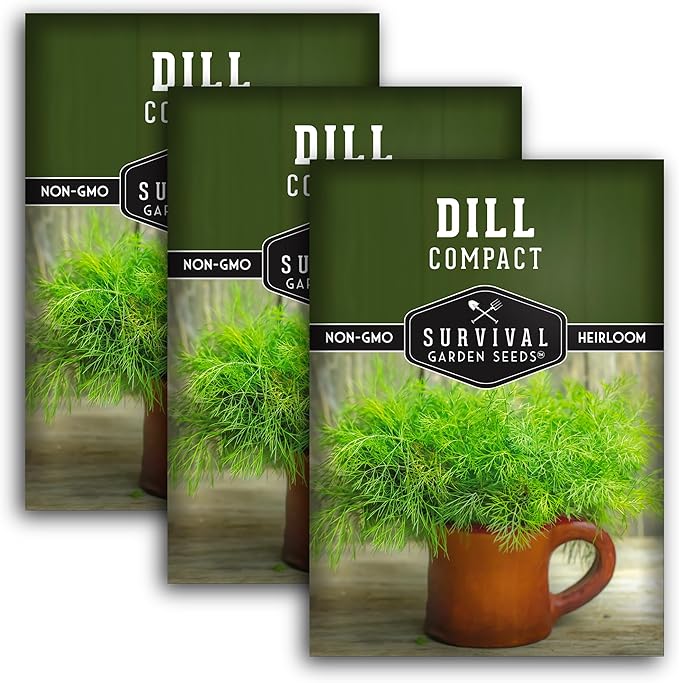 Survival Garden Seeds Compact Dill for Planting - 3 Seed Packets with Instructions to Plant & Grow Container Sized Dwarf Dill Herb Plants in Your Home Garden - Non-GMO Heirloom Variety