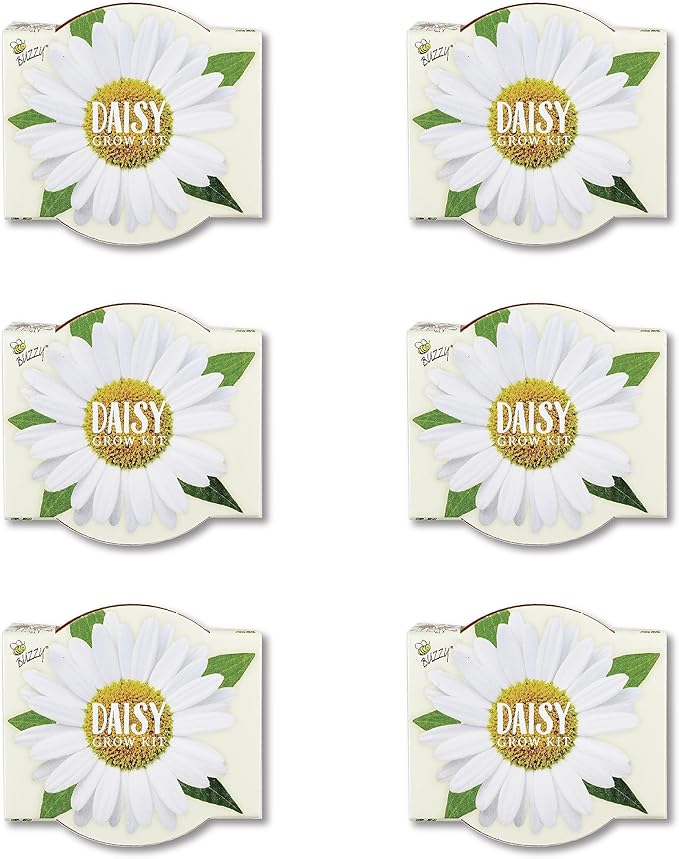 BUZZY Terracotta Mini Grow Pots | Mini Daisy 6-Pack | Daydream Collection | Best Gardening Gifts, Favors, Weddings, Parties, Events, Modern, Trendy, Unique, and Fun | Growth Guaranteed