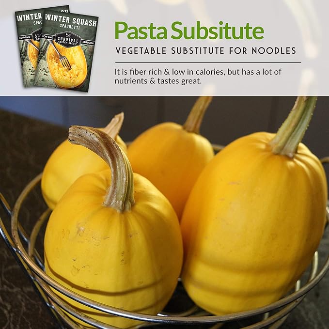 Survival Garden Seeds - Spaghetti Squash Seed for Planting - Packet with Instructions to Plant and Grow Low Carb Healthy Winter Squash in Your Home Vegetable Garden - Non-GMO Heirloom Variety