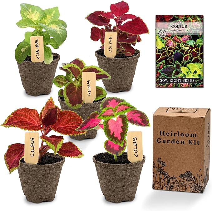 Sow Right Seeds - Coleus Seeds for Planting Indoors - Garden Starter Kit - Includes Pots & Potting Soil - Non-GMO Packet with Instructions - Vibrant Foliage for Indoors or Outdoors - Gardening Gift