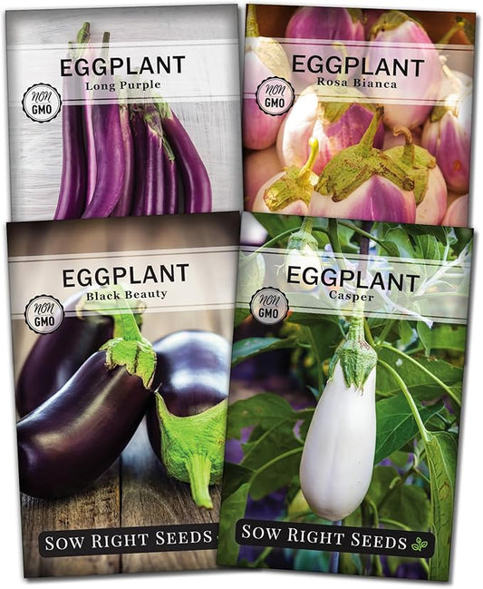 Sow Right Seeds - Eggplant Seed Collection for Planting - Black Beauty, Casper, Rosa Bianca and Long Purple Varieties - Non-GMO Heirloom Packet - Plant and Grow an Outdoor Home Vegetable Garden
