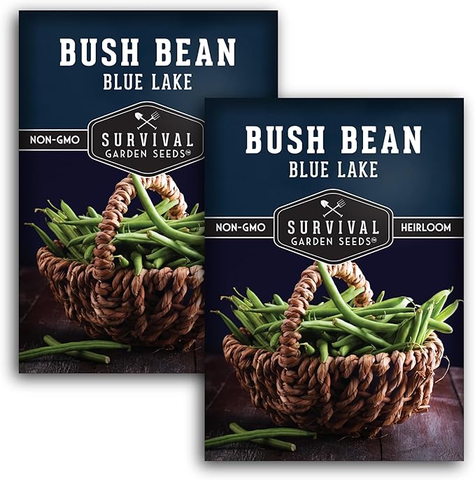 Survival Garden Seeds - Blue Lake Bush Bean Seed for Planting - 2 Packets with Instructions to Plant & Grow Green Stringless Snap Beans in Your Home Vegetable Garden - Non-GMO Heirloom Variety