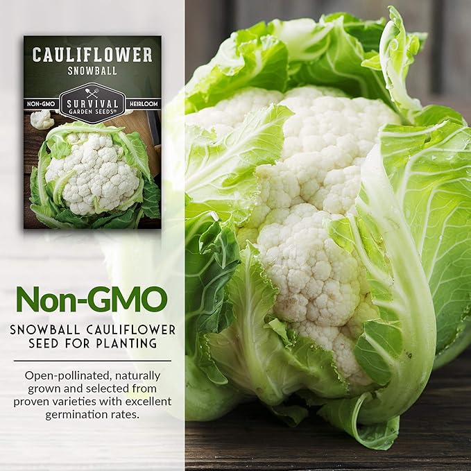 Snowball Cauliflower Seed for Planting - 3 Packets with Instructions to Plant & Grow Amazing White Vegetables in Your Home Vegetable Garden - Non-GMO Heirloom Variety - Survival Garden Seeds