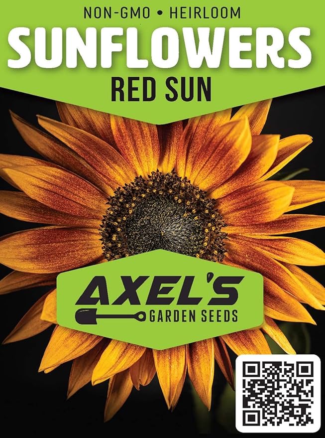 Sunflower Seeds for Planting - Grow Unique Sun Flowers in Your Garden - 25 Non GMO Heirloom Seeds - Full Planting Instructions for Easy to Grow Red Sun Sunflowers - Great Gardening Gifts (2 Packets)