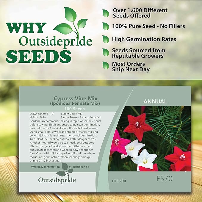 Outsidepride 100 Seeds Annual Cypress Vine Flower Seed Mix for Planting