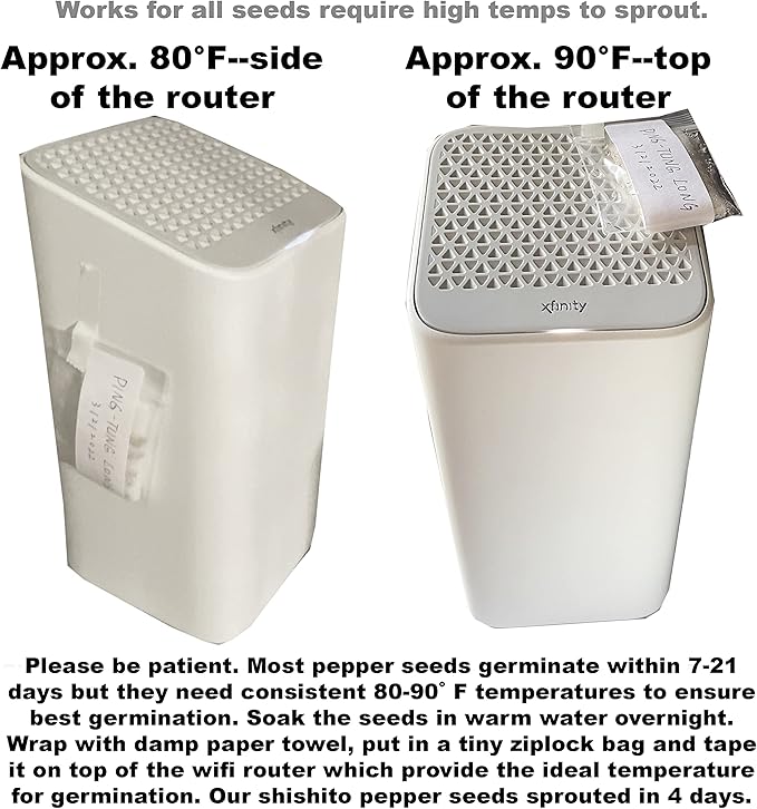 2025 EarlyBird-Organic Asian Pepper Seeds for Planting Vegetables and Fruits for 虎皮尖椒,Non-GMO Heirloom Seeds Chile Pepper Seeds for Home Vegetable Garden Hydronic Pods-30ct Vege Seeds:Shishito Pepper