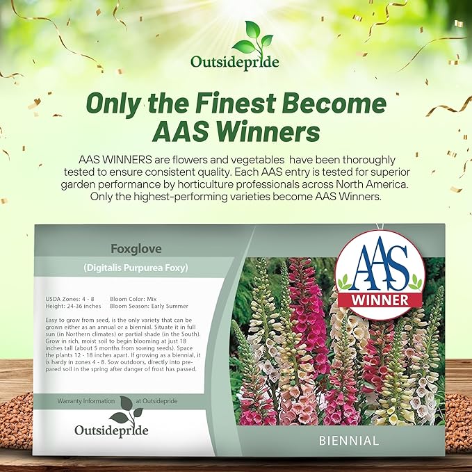 Outsidepride Digitalis Purpurea Foxy Foxglove Seeds – 5000 Pcs Biennial, Prolific, Tall Growing Flower Seeds w/Pollinator-Friendly Blooms for Shaded Gardens & Outdoor Landscapes (AAS Winner)