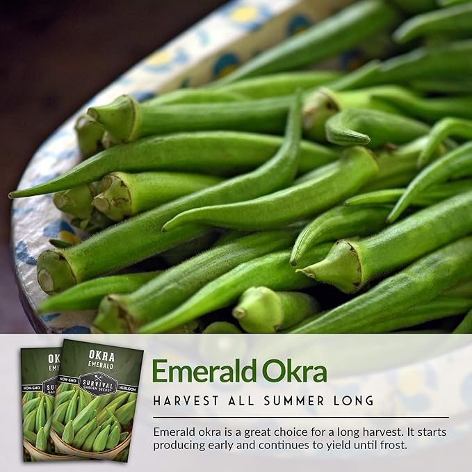 Survival Garden Seeds - Emerald Okra Seed for Planting - Packet with Instructions to Plant and Grow Tender and Large Okra in Your Home Vegetable Garden - Non-GMO Heirloom Variety - 5 Pack