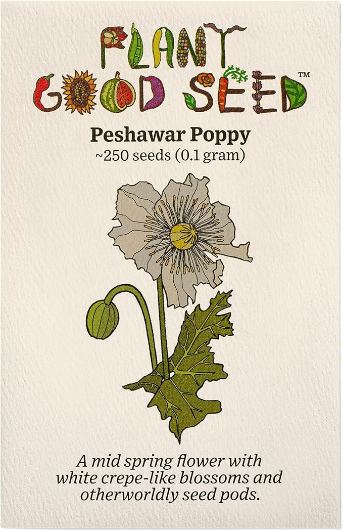 Plant Good Seed Organic Peshawar Poppy Seeds - Pack of 250, Pack of 100 Heirloom Seeds For Planting Flowers - Gardening Supplies, Herb Garden, Wildflower, Flower Seeds To Plant Outside - Non-GMO, From USA